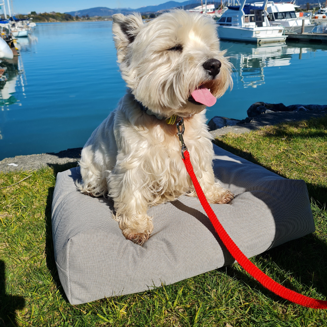 A small tan dog bed with a removable cover, displayed on grass with a dog lying on it, and a body of water and boats in the background.