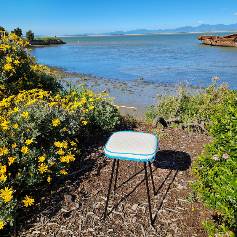 Freshly Painted Stool - Seat - Textured Vinyl