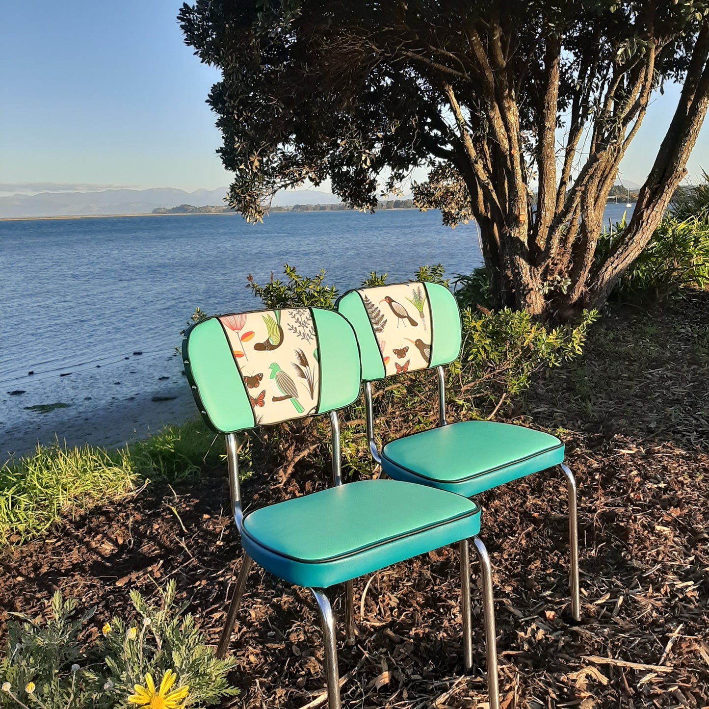 Retro Kitchen Chairs