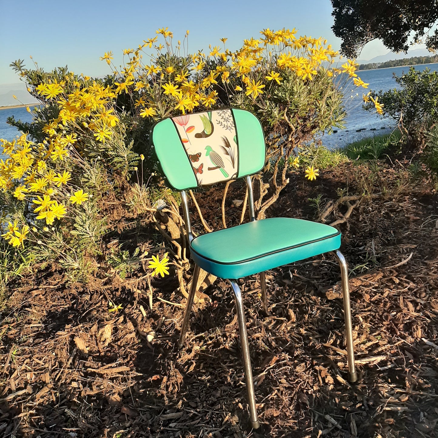 Retro Kitchen Chairs