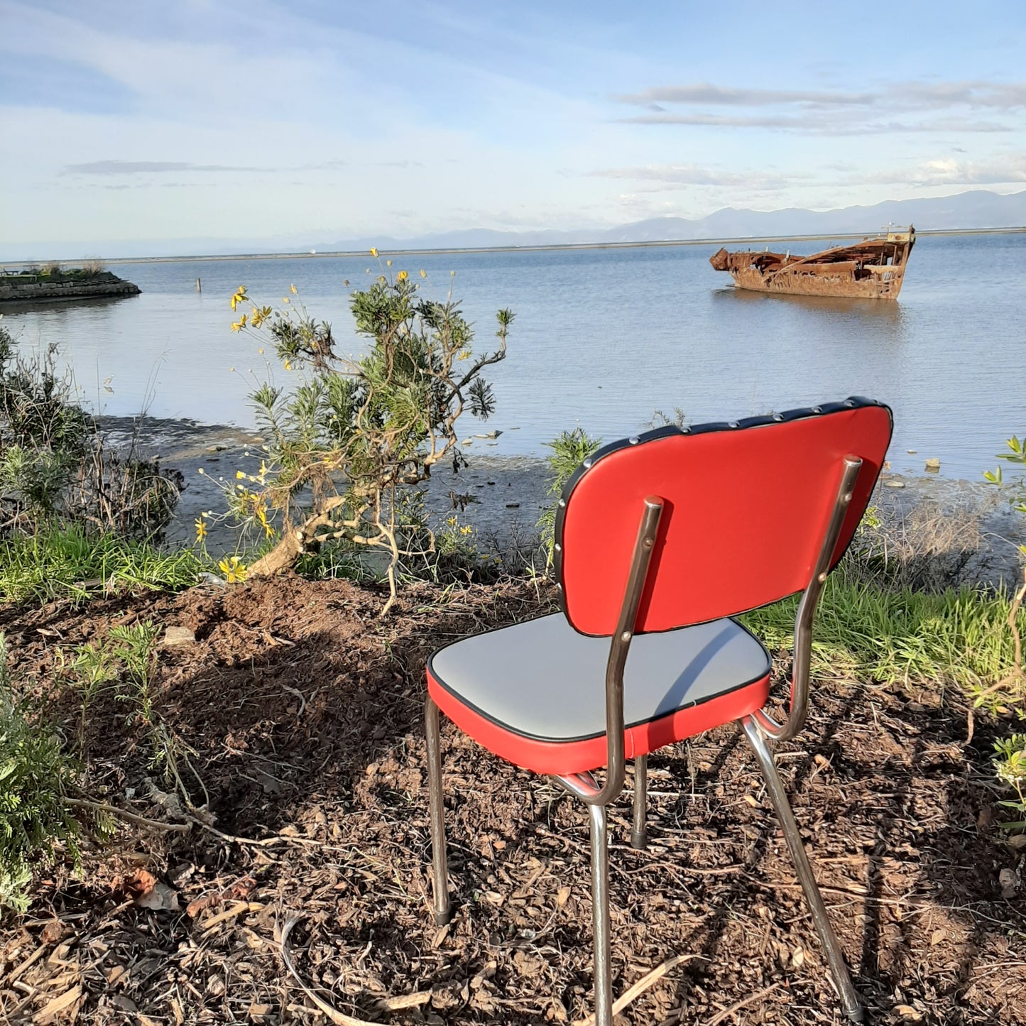 Retro Kitchen Chair