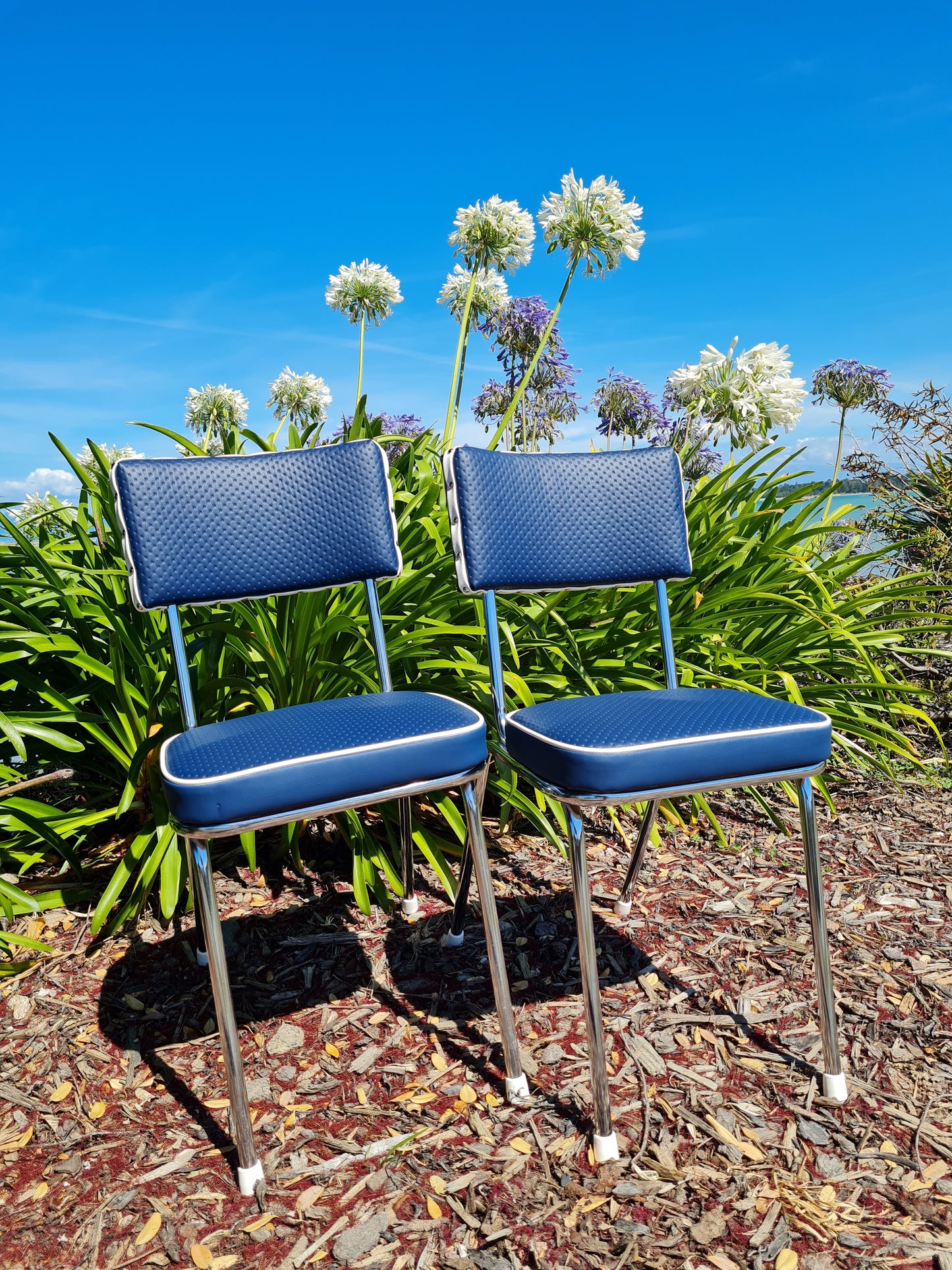 Retro Kitchen Chair's