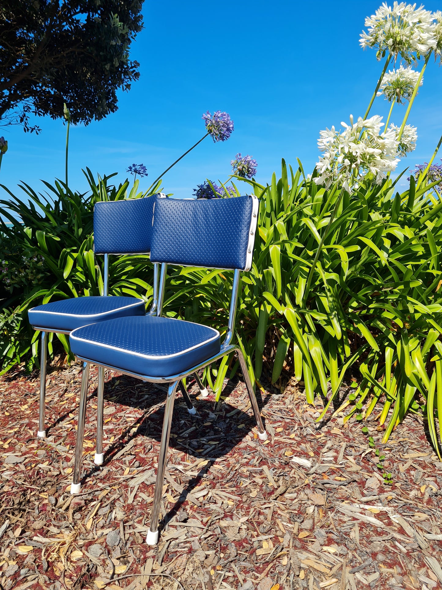 Retro Kitchen Chair's