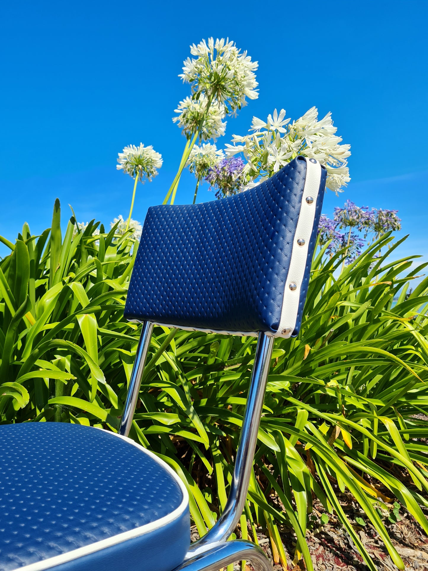 Retro Kitchen Chair's