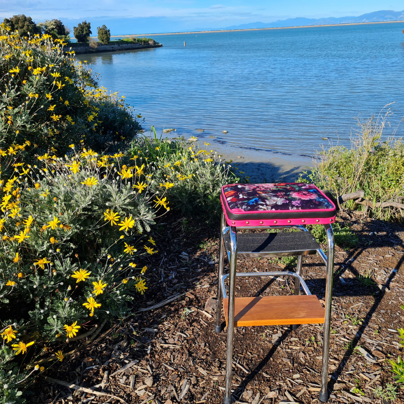 Retro Chrome Stool - Seat - Wooden Step