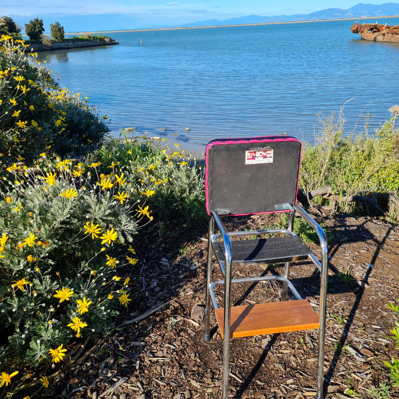 Retro Chrome Stool - Seat - Wooden Step