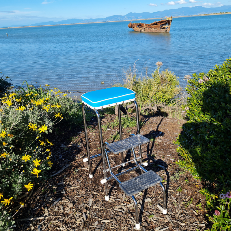 Retro Step Stool - Seat