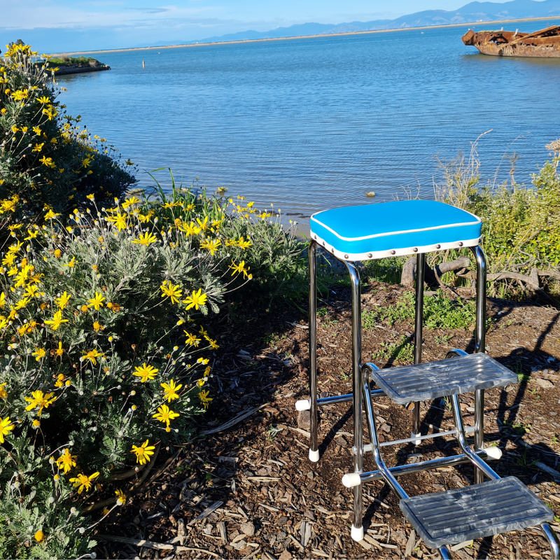 Retro Step Stool - Seat