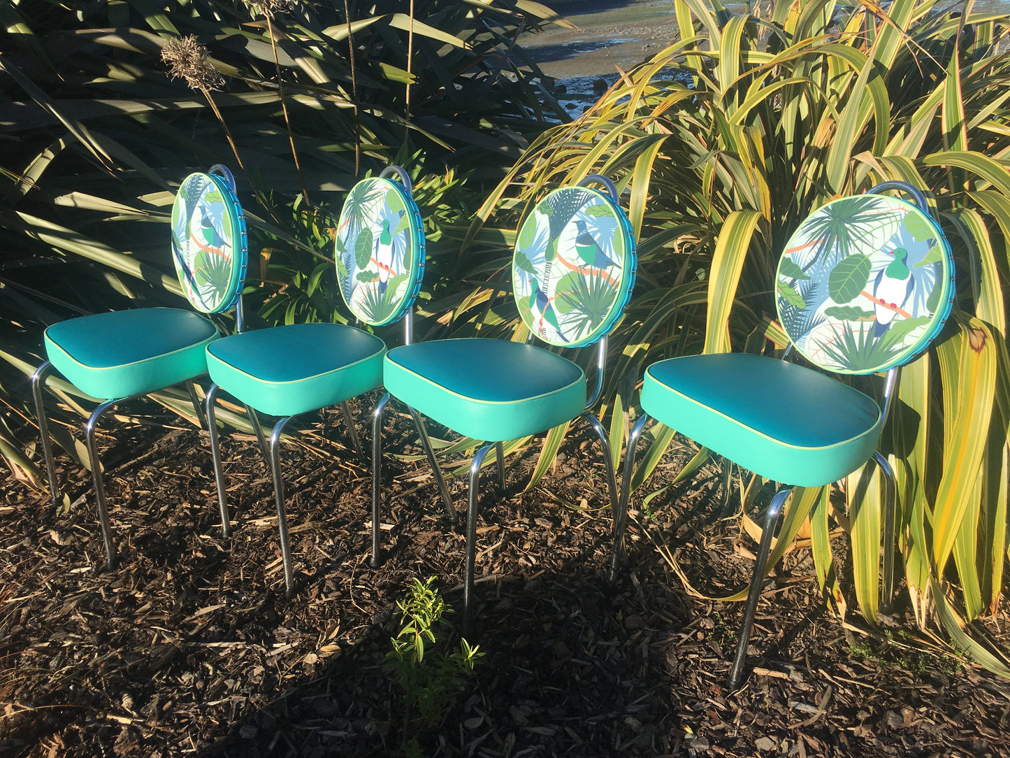 Kereru & Tui Set off 4 Kitchen Chairs