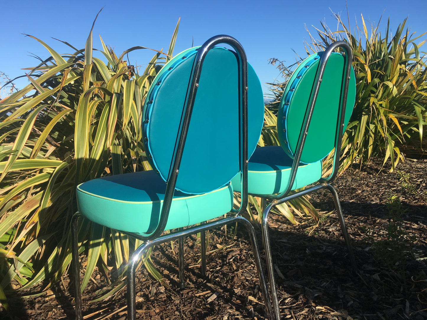 Kereru & Tui Set off 4 Kitchen Chairs
