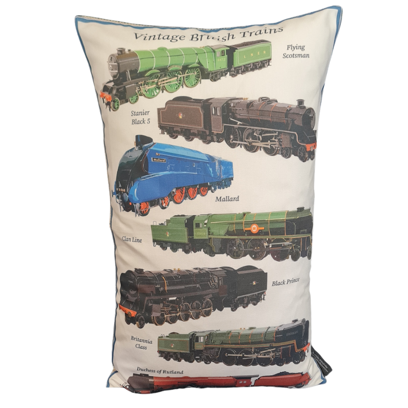 Trains Large Cushion Cover