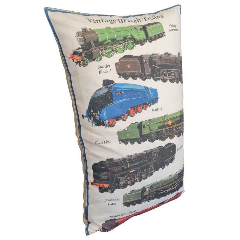 Trains Large Cushion Cover