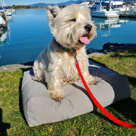 A small tan dog bed with a removable cover, displayed on grass with a dog lying on it, and a body of water and boats in the background.
