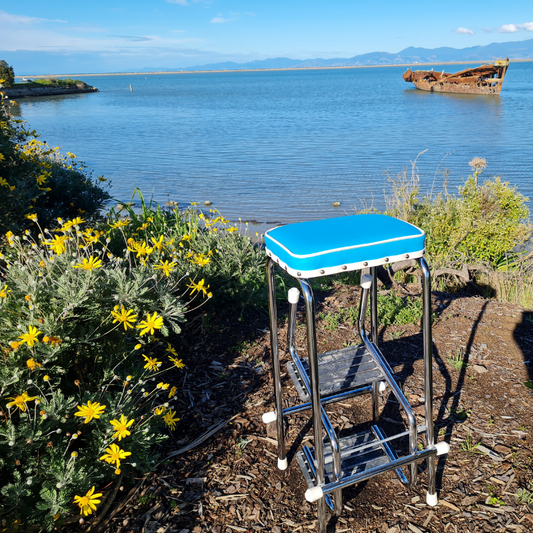 Retro Step Stool - Seat