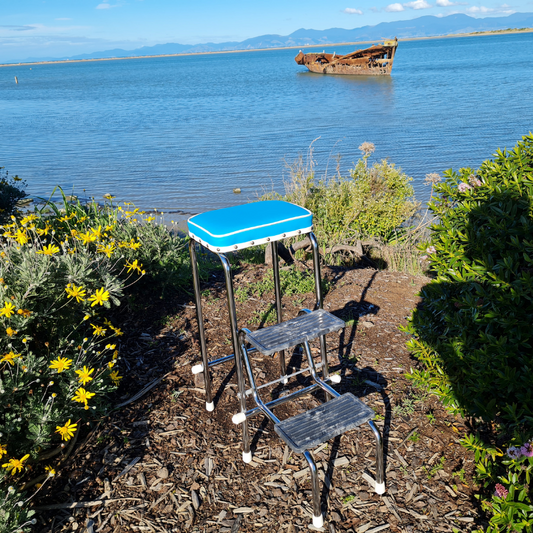 Retro Step Stool - Seat